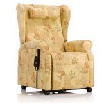 Rise Recline Chairs - The Care Team